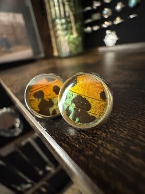 Madagascan Sunset Moth Post Earrings